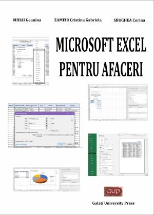 Cover for Microsoft Excel pentru afaceri