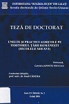 Cover for Unelte şi practici agricole pe teritoriul Ţării Româneşti  (secolele XIII-XVI): teză de doctorat
